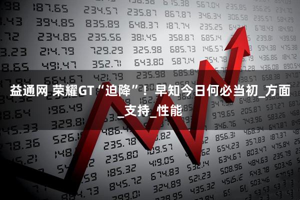 益通网 荣耀GT“迫降”！早知今日何必当初_方面_支持_性能